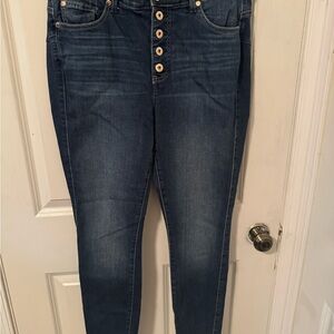 Torrid High Rise Blue Button-Fly Jeans